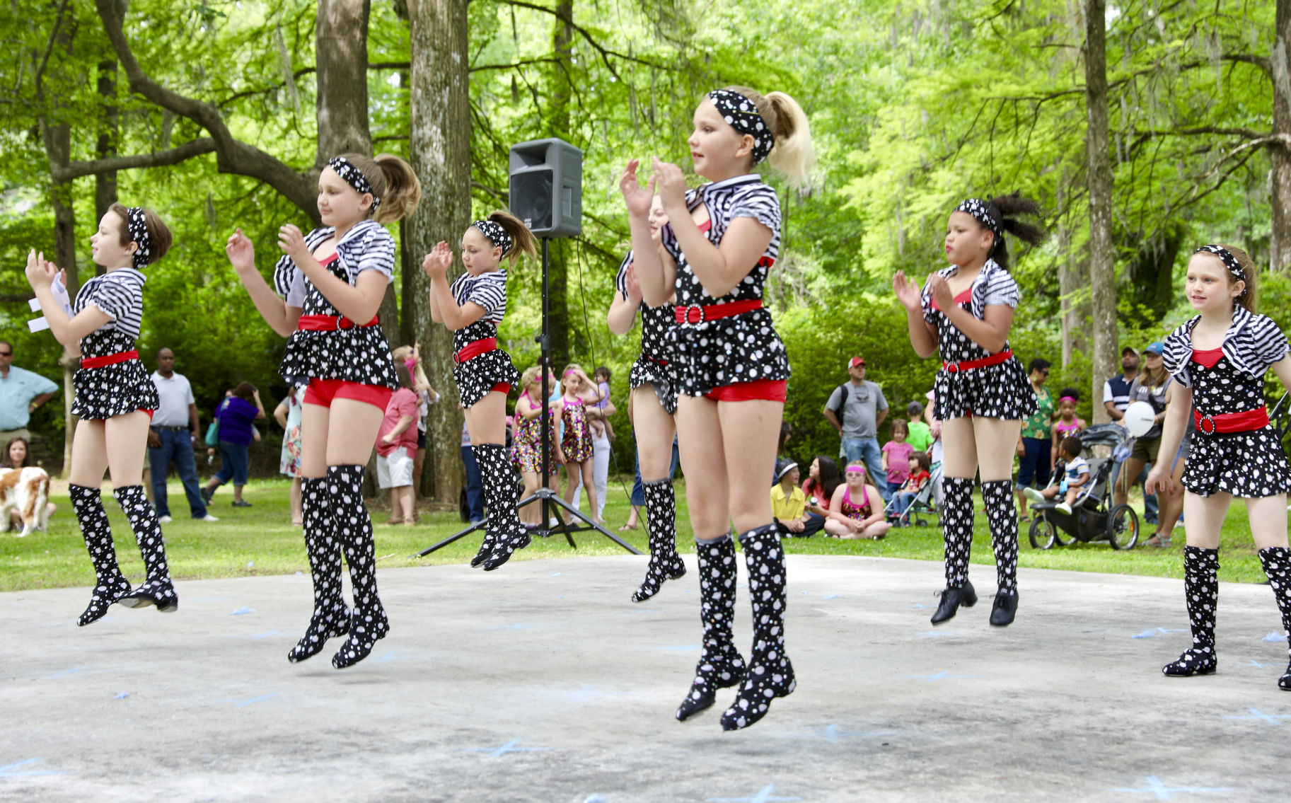 2018 Festival of Roses
